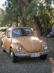 1974 VOLKSWAGEN SUPERBUG in QLD