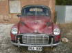 1954 MORRIS MINOR in SA