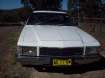 1980 HOLDEN WB in NSW