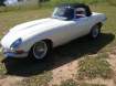 1964 JAGUAR E TYPE in SA