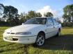 1996 HOLDEN COMMODORE in QLD