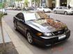 2004 FORD MUSTANG in NSW