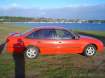 1993 HOLDEN COMMODORE in NSW